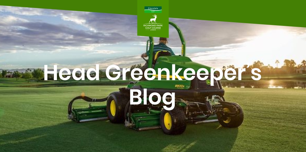 Head Greenkeeper’s Blog at Richmond Park | Feb 2020