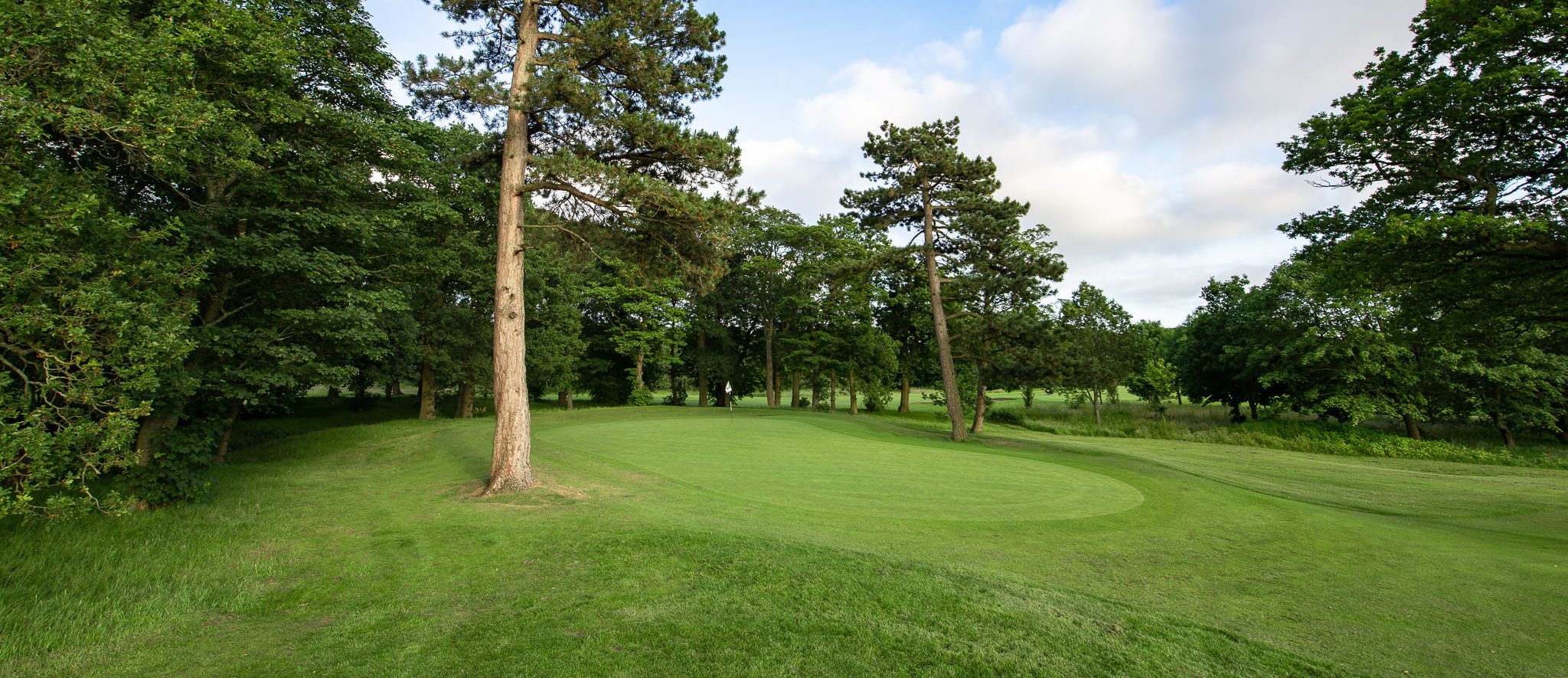 Project Update – Duxbury Park Golf Course