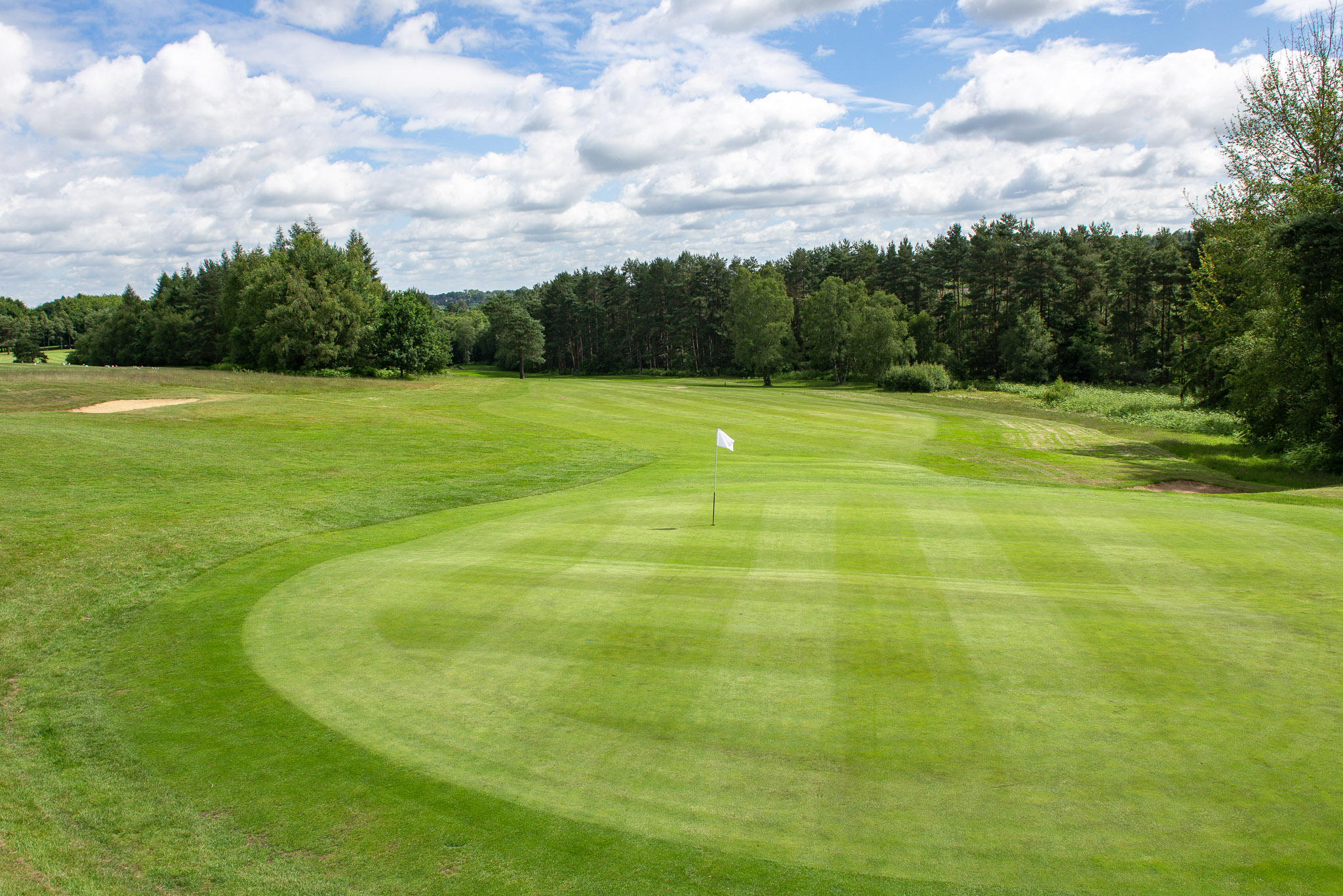 January 2021 Course Update | Tilgate Forest
