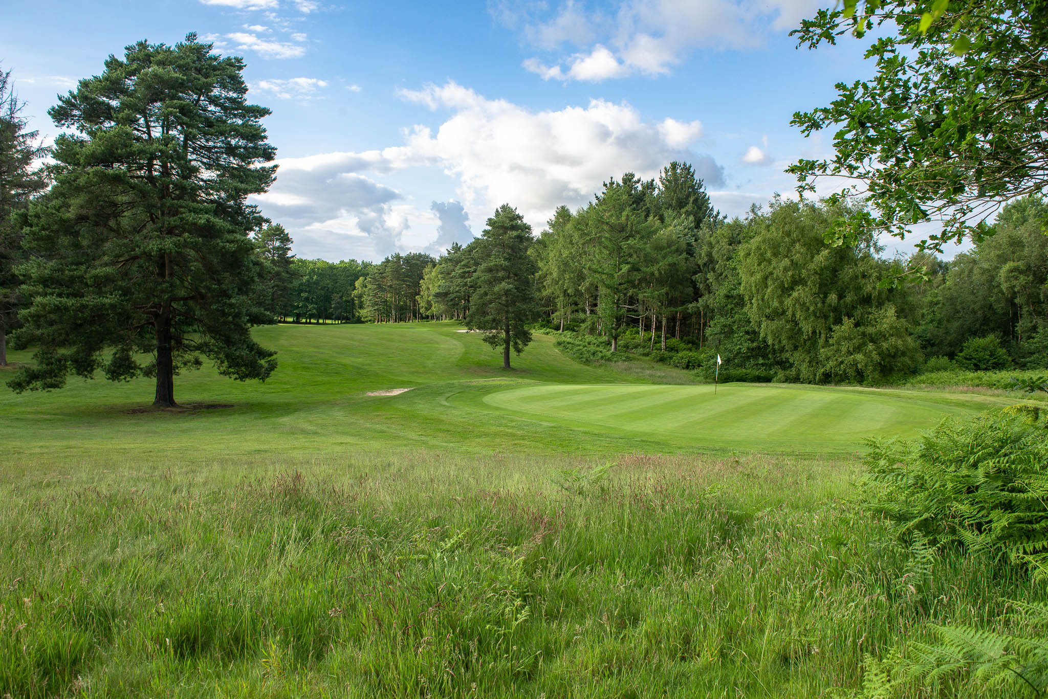 Tilgate Forest – Course Report – July 2021