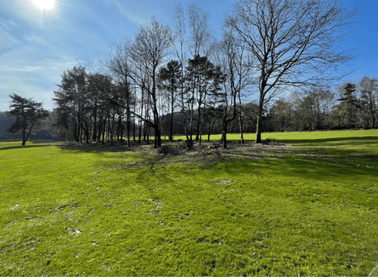 Tilgate Forest Golf Centre Fresh From The Fairways April 2024