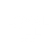 2025 Loyaltee Logo Protos 2 2025 Loyaltee Logo Protos 2